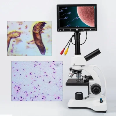 40X-2000X Biological Microscope Sperm Locust Blood Test Microsocpe w/7″ Screen